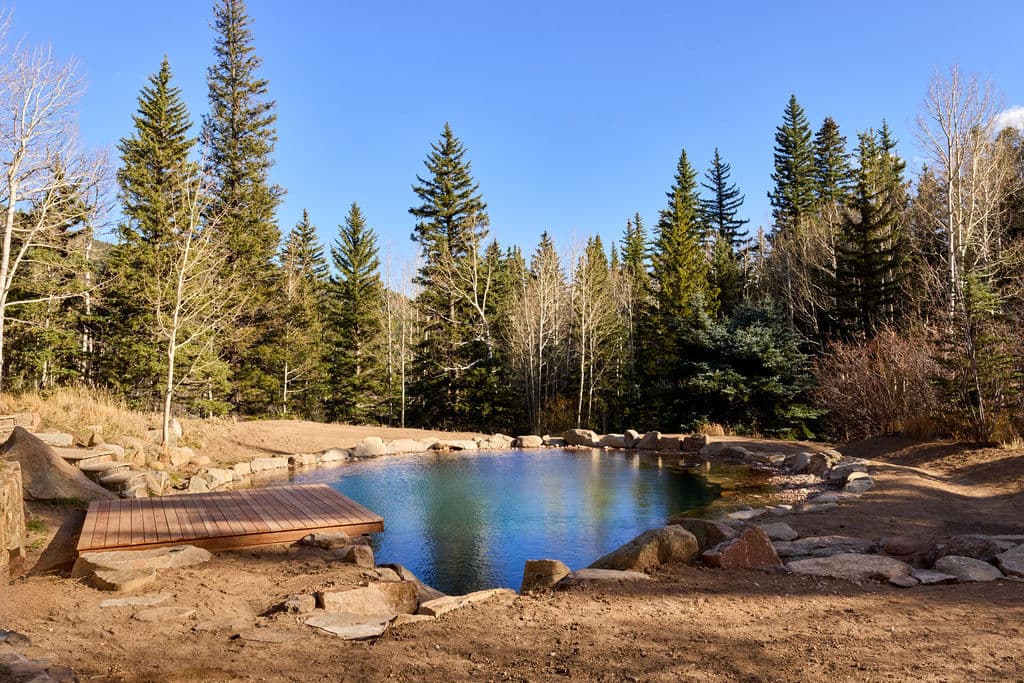 Scenic natural pond surrounded by evergreen trees and a wooden deck in a forest setting.
