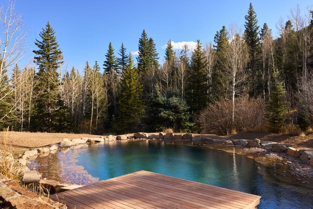 Tranquil outdoor hot spring surrounded by pine trees and clear blue sky.
