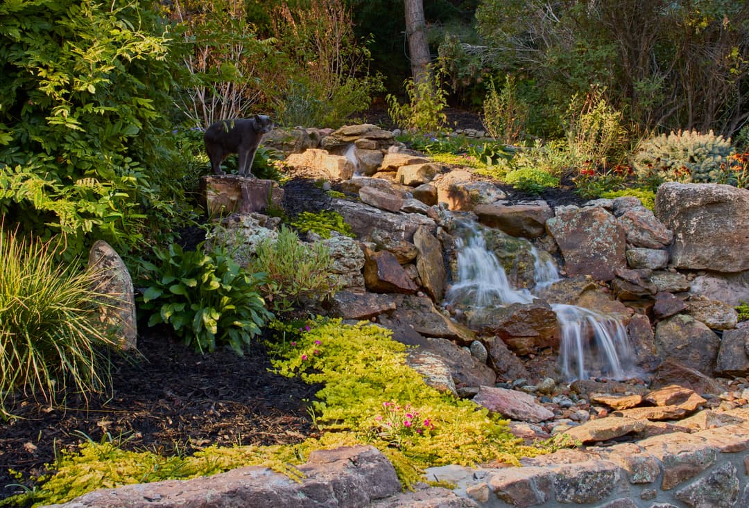 Black cat beside a serene stone waterfall in a lush garden setting.