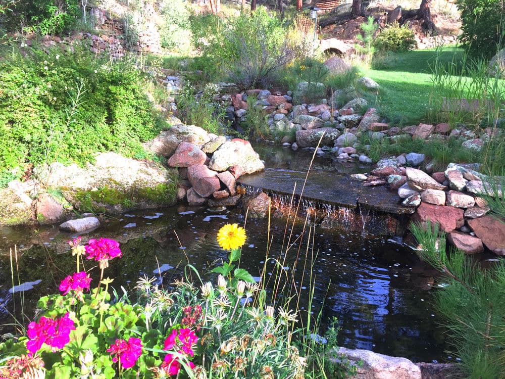 Lush garden pond with blooming flowers and a gentle waterfall surrounded by stones.