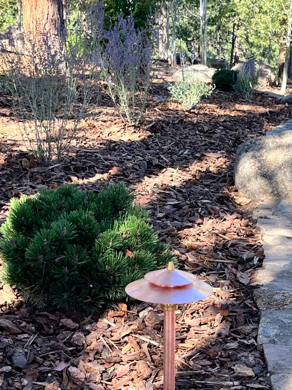 Garden landscape with decorative copper light, green shrubs, and mulched ground.