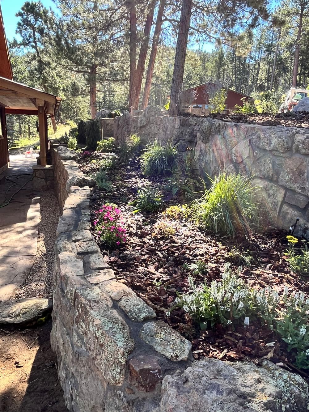 Lush garden with flowers and stone wall under pine trees in a serene outdoor setting.