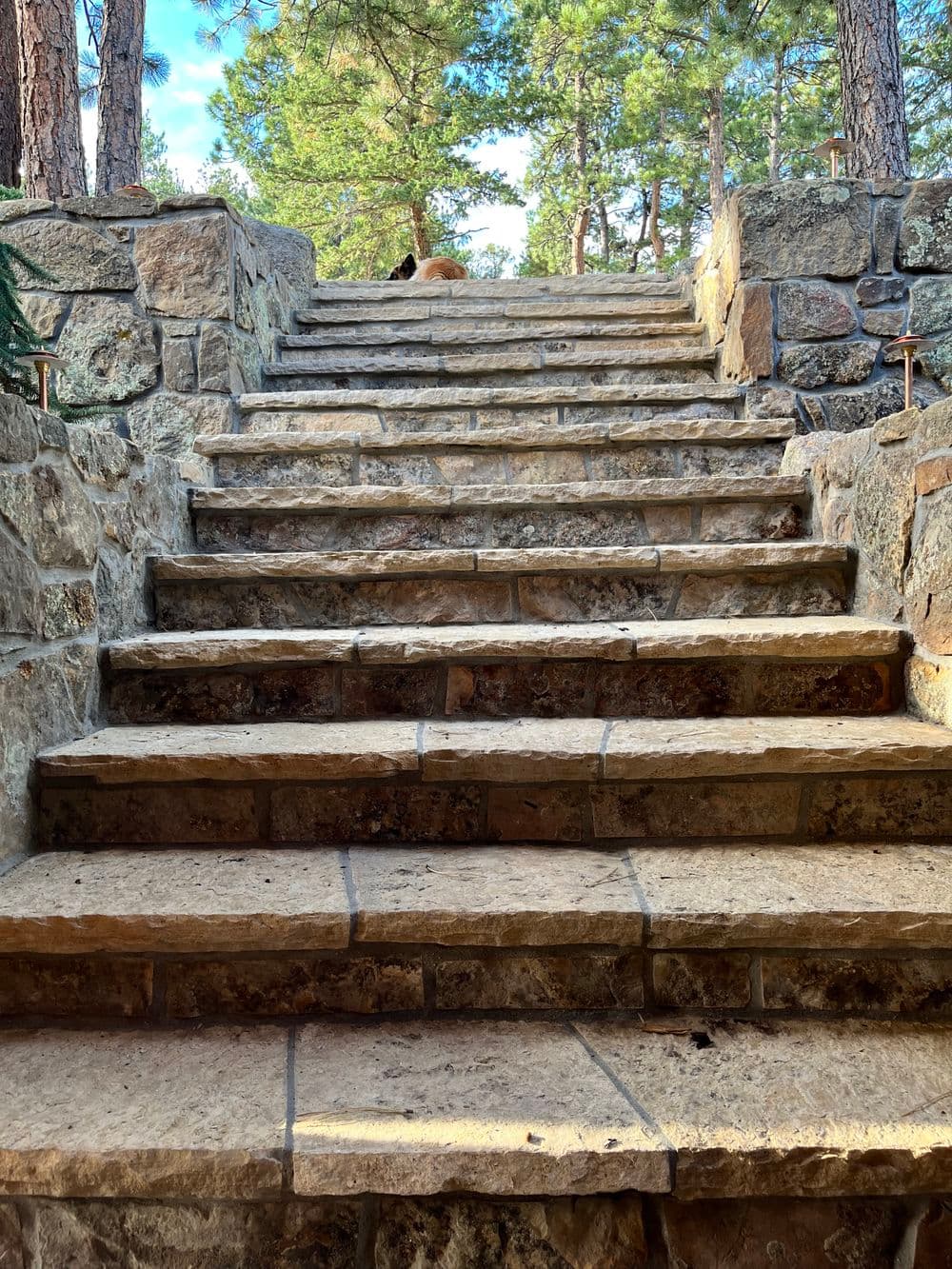 Stone staircase leading upwards through a forested area, surrounded by tall trees.