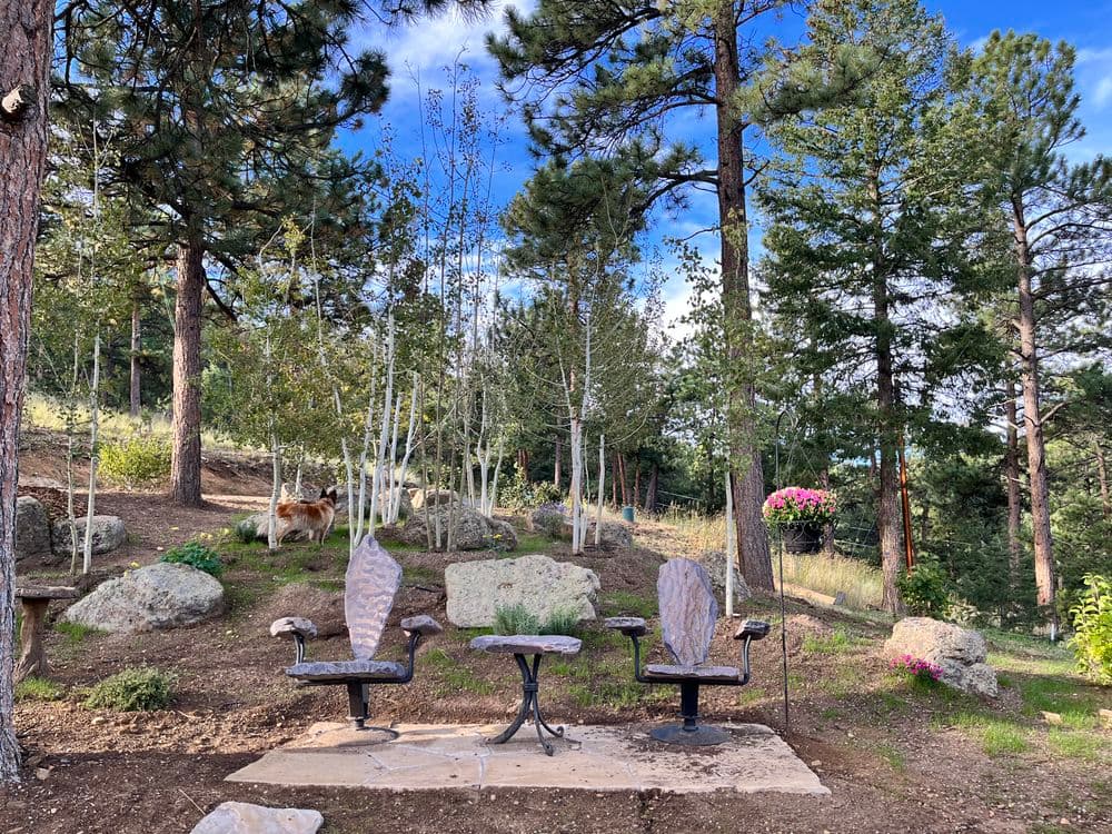 Rustic outdoor seating area with metal chairs, surrounded by trees and a dog in the background.