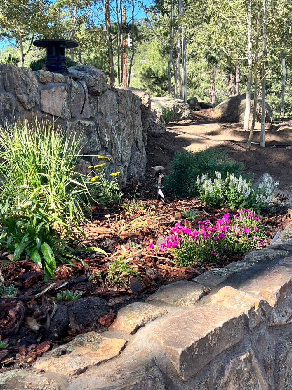 Vibrant flowers bloom in a stone garden bed surrounded by greenery and tall trees.