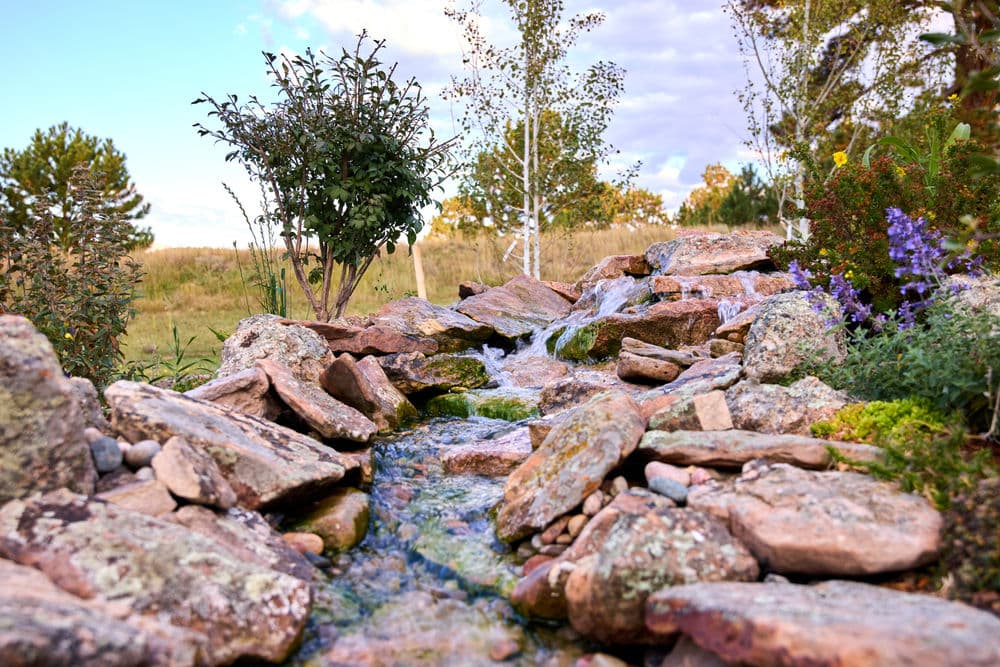 Natural stream flowing over rocks surrounded by lush greenery and wildflowers.