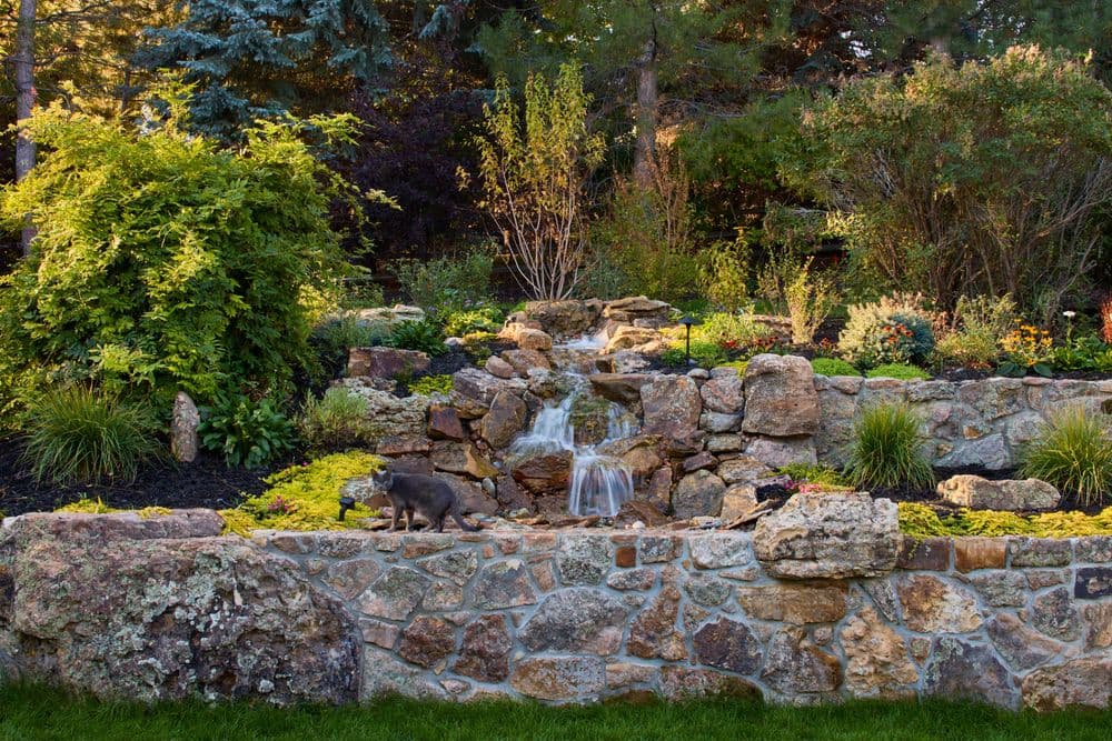 Garden landscape with a decorative stone waterfall and lush greenery, featuring a cat.