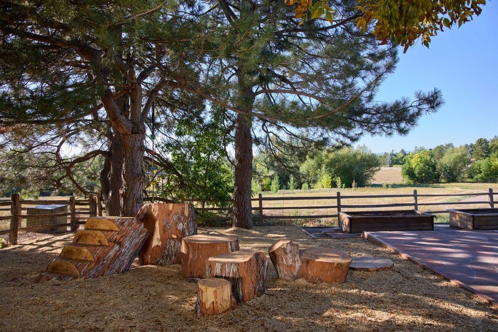 Wooden tree stumps in a park with green trees and a wooden fence under a clear blue sky.