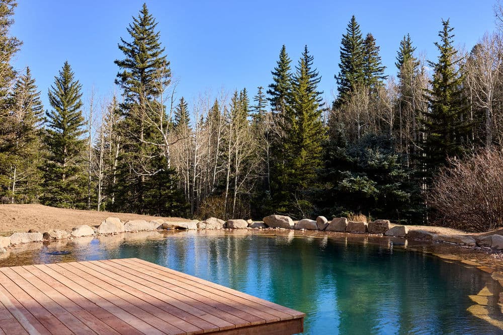Scenic wooden deck by a tranquil pool surrounded by lush evergreen trees.