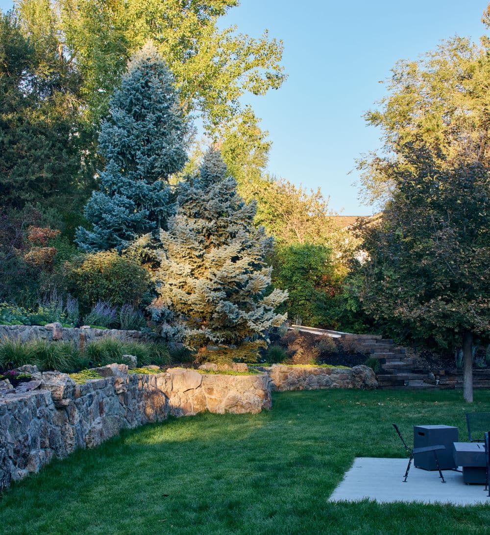 Lush garden with evergreen trees, stone wall, and a patio in a sunlit backyard.